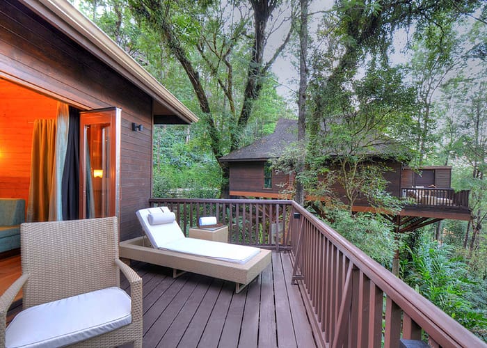 Wooden deck with a lounge chair and wicker seating, nestled amidst lush greenery, offering a cozy retreat with forest cabin views.